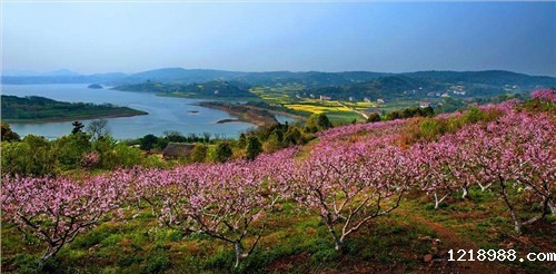 临澧县2018年农村饮水安全巩固提升管网配套改造项目