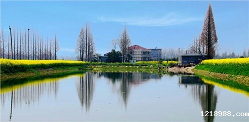 安乡同心水厂hth华体会全站最登录及配件采购项目